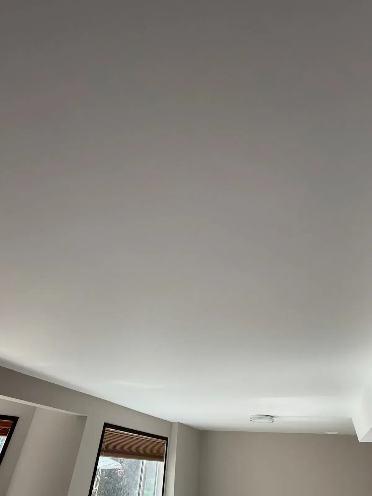Popcorn Ceiling Removal