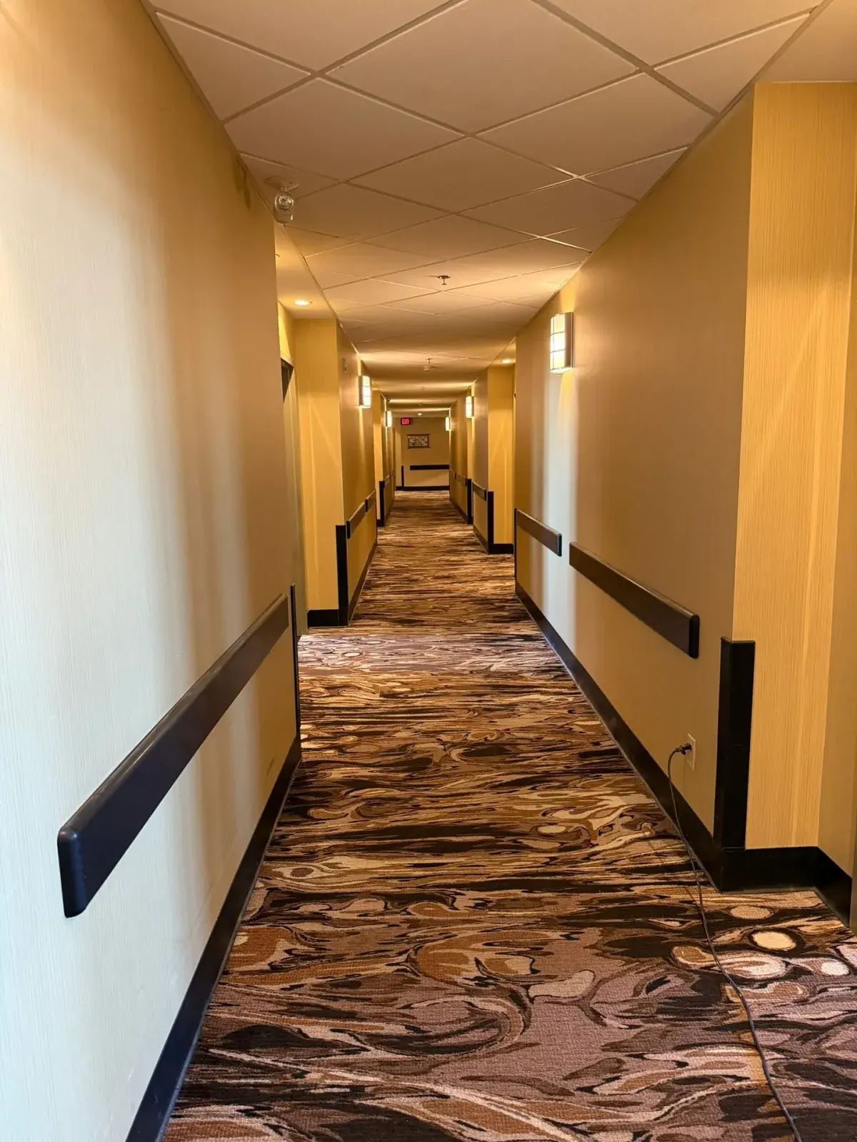 Commercial Corridor Repaint — A freshly painted hotel corridor — durable, clean, and consistent